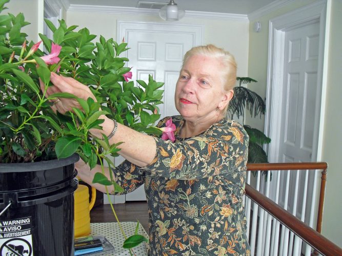 Indoor Eden: Wheeling Woman Teaches STEM With Stems